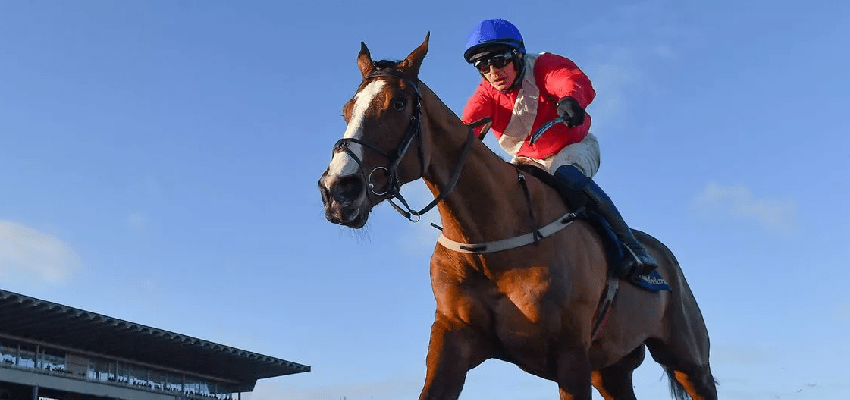 Did the gamblers come out on top at the Cheltenham Festival?